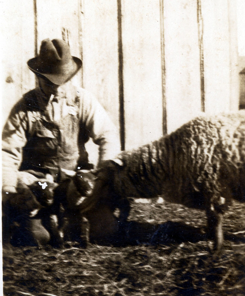 Truman Lewis